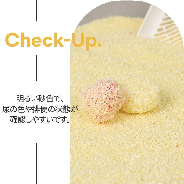 <定期便>American Solution マイルド キャッサバ 猫砂 5.9kg