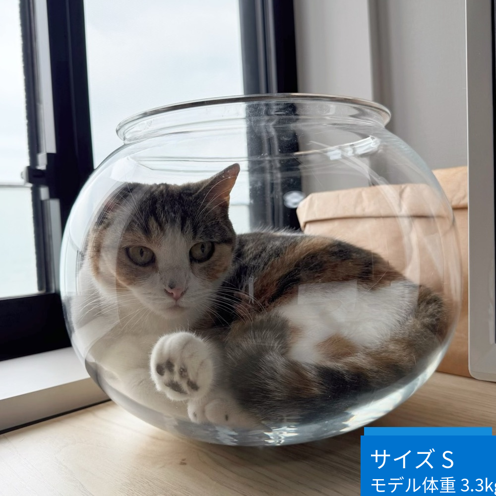 ニャンクアリウム