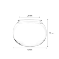 ニャンクアリウム