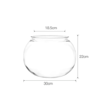 ニャンクアリウム